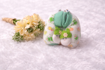 SoftTouch Baby Mittens & Booties Set with Gift Pouch – Cozy & Cute (0M+)