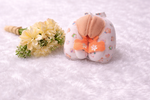 SoftTouch Baby Mittens & Booties Set with Gift Pouch – Cozy & Cute (0M+)