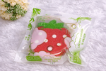 Sliced Fruit Bath Sponge